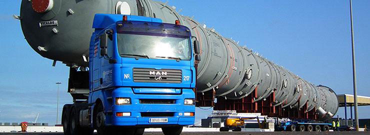 Project Logistics Service